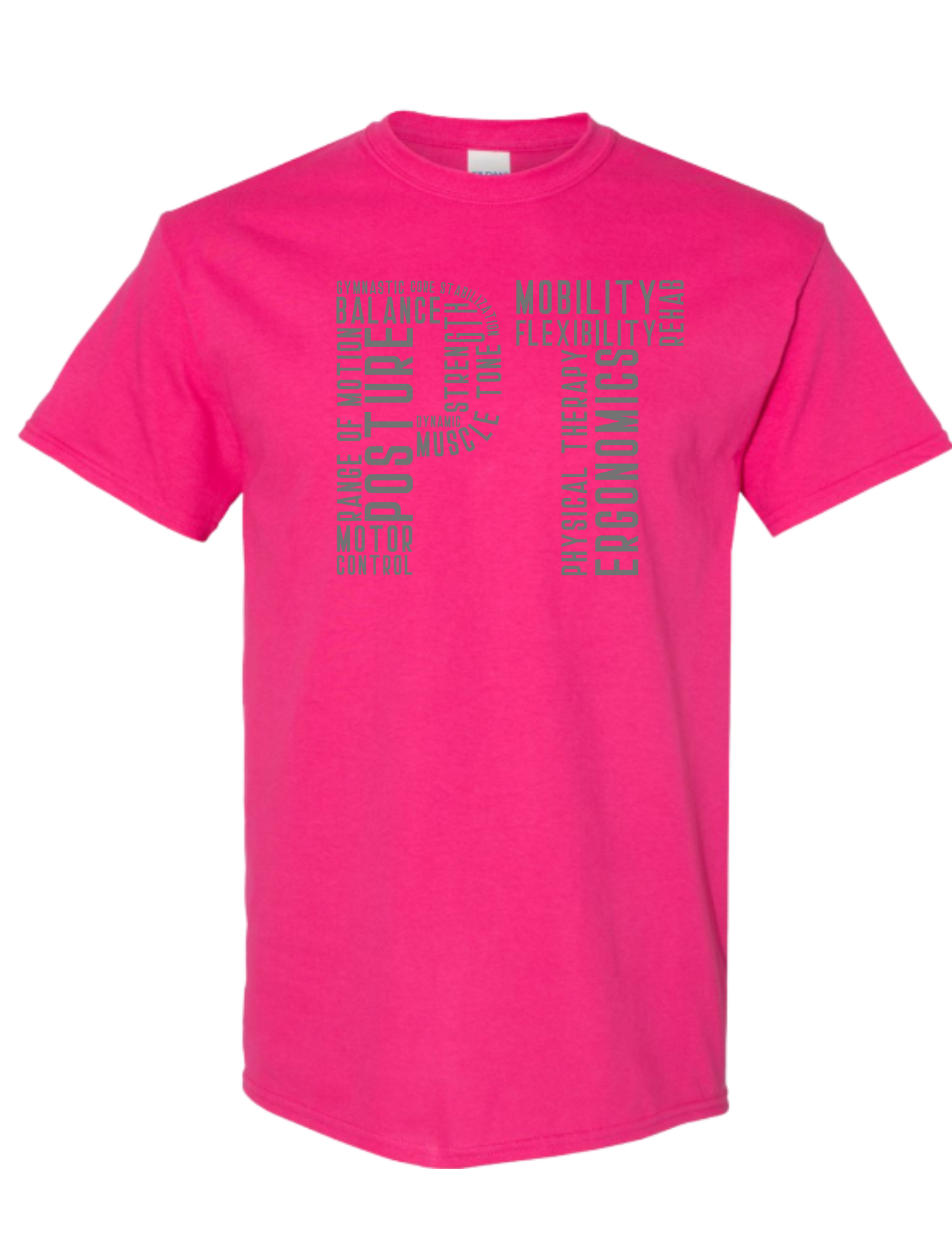 Physical Therapist Tee and sweatshirt