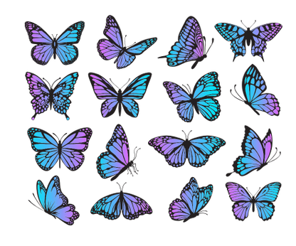 Butterfly 20oz Tumbler