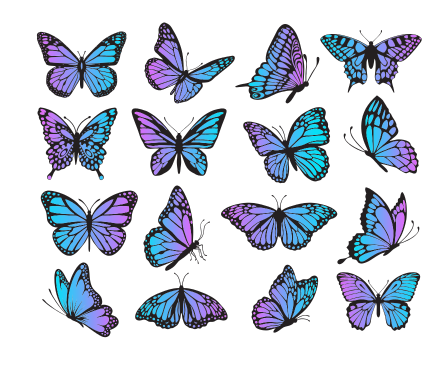 Butterfly 20oz Tumbler